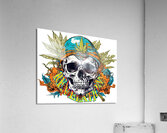 Revelation Acrylic Print