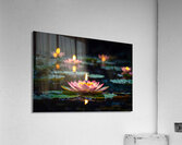 Lotus Floating Candle Acrylic Print