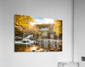 Fall No3 Acrylic Print