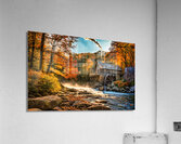 Fall No1 Acrylic Print