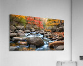 Fall No9 Acrylic Print