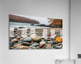 Fall No8 Acrylic Print