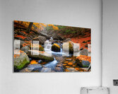 Fall No11 Acrylic Print