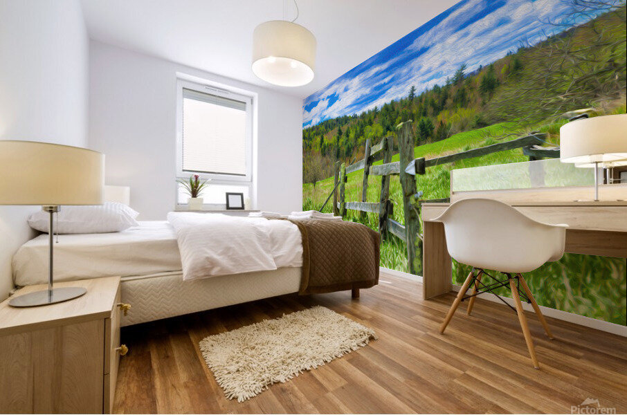 fence paint Mural print