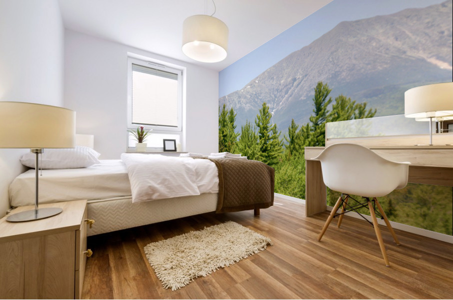 Katahdin Magic 7 Mural print