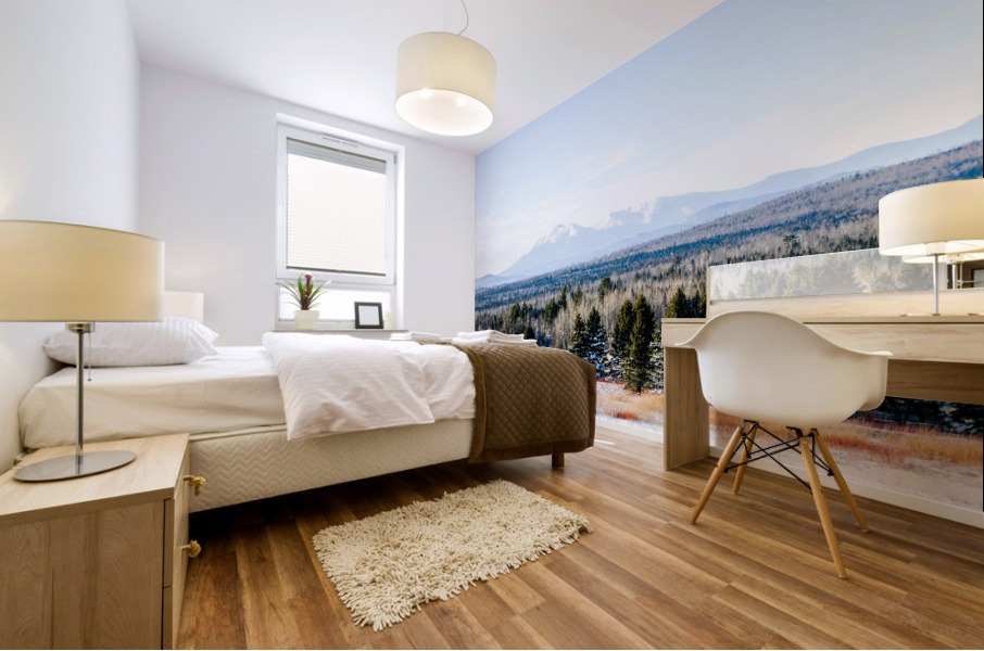 Katahdin Magic 20 Mural print