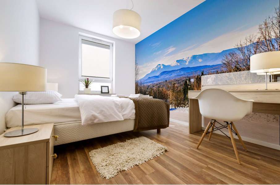 Katahdin Magic 21 Mural print