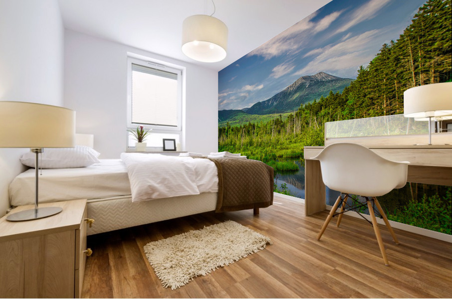 Katahdin Magic 13b Mural print