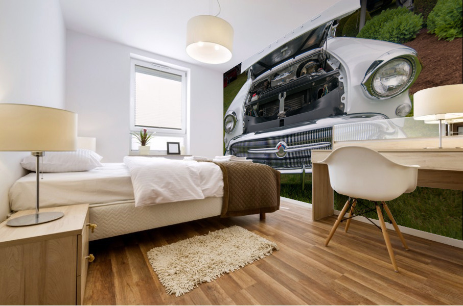 HDR car4 Mural print
