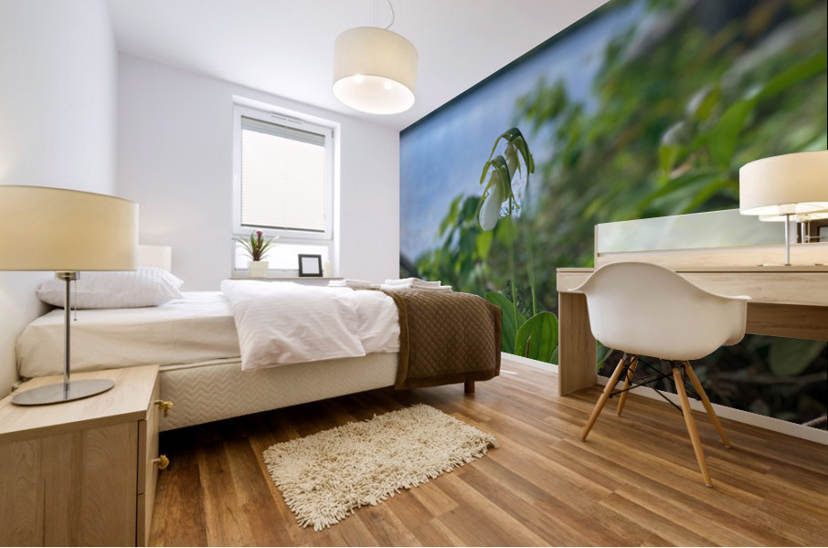 Flowers038 Mural print