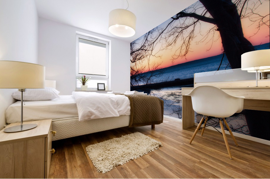 Coast 01 Mural print