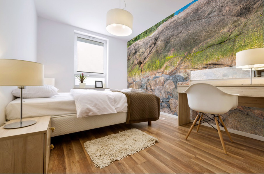 Coastal 049 Mural print