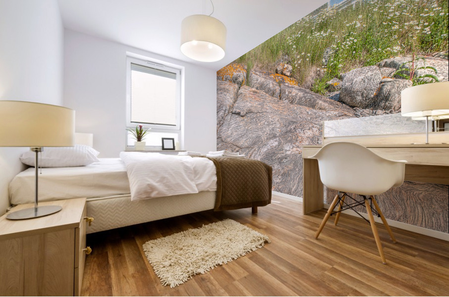 Coastal 047 Mural print