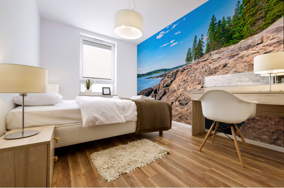 Coastal 045 Mural print
