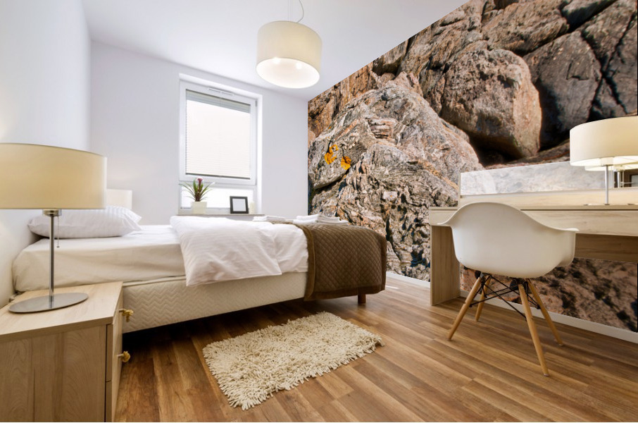 Coastal 043 Mural print