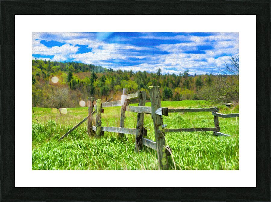 fence paint Picture Frame print