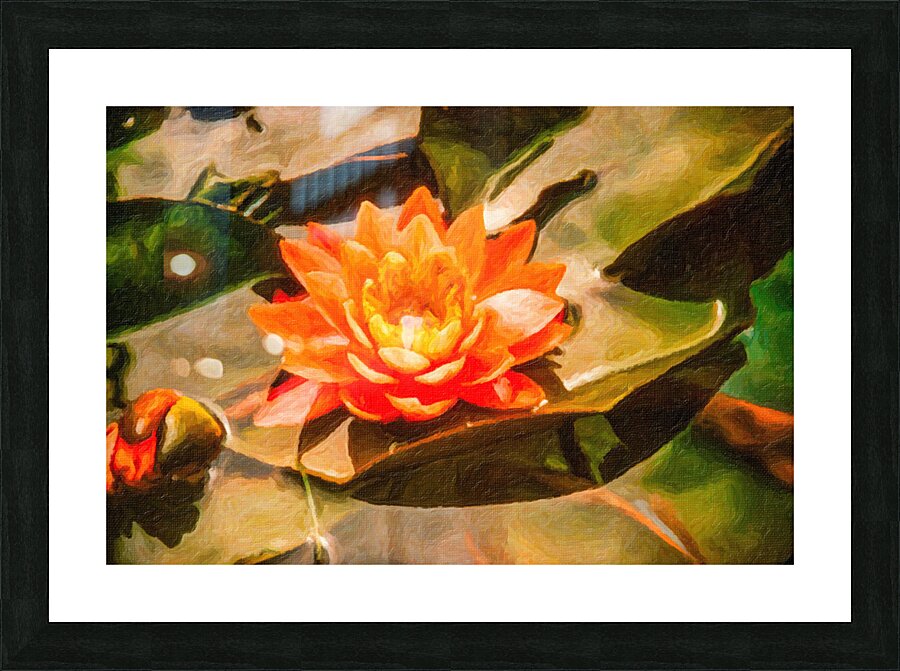 Lilly Pad No1 Picture Frame print