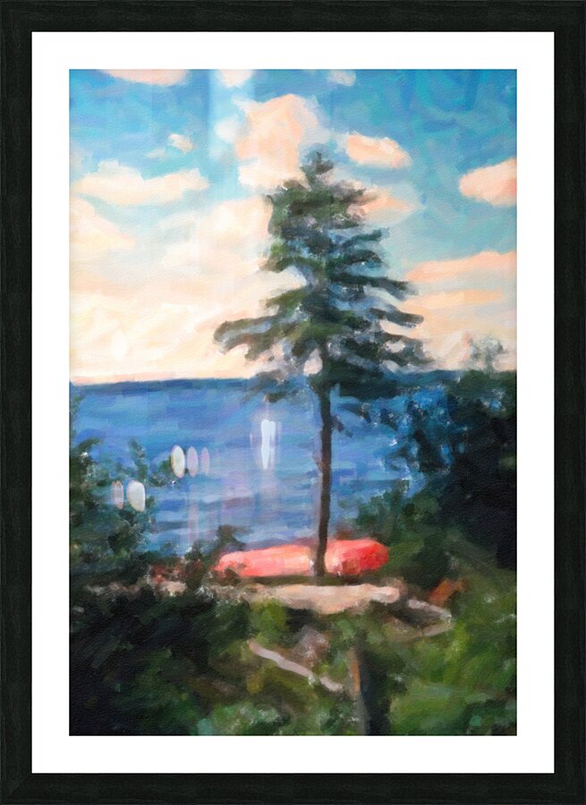 Canoe Tree Picture Frame print