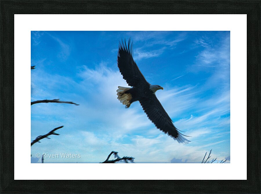 Coastal 19 Picture Frame print