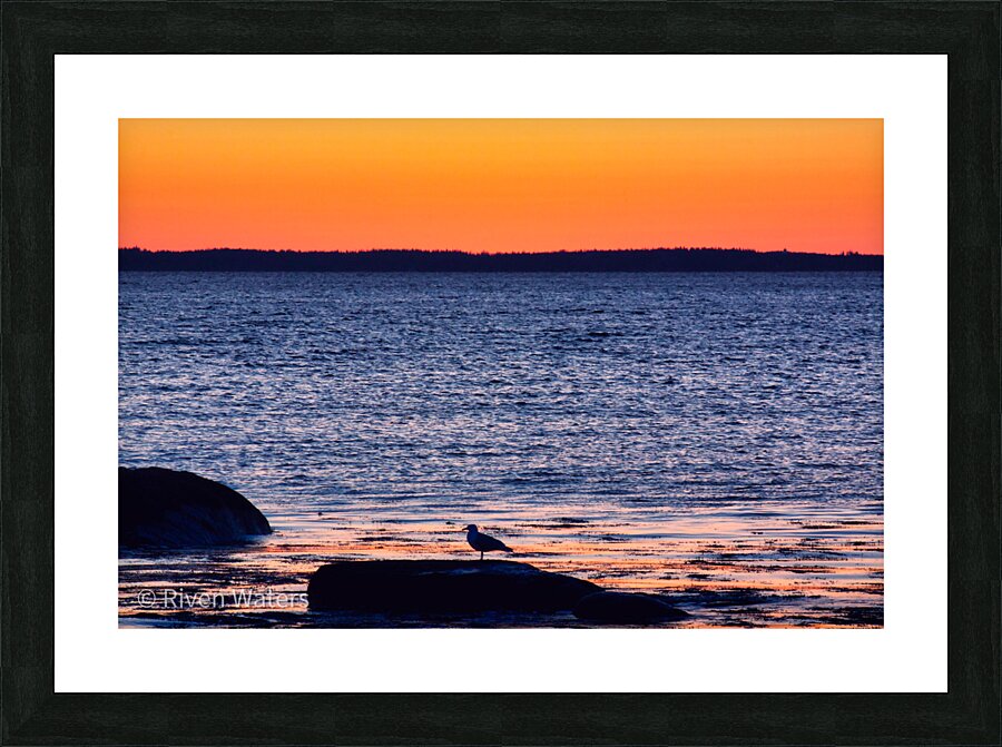 Coastal 21 Picture Frame print