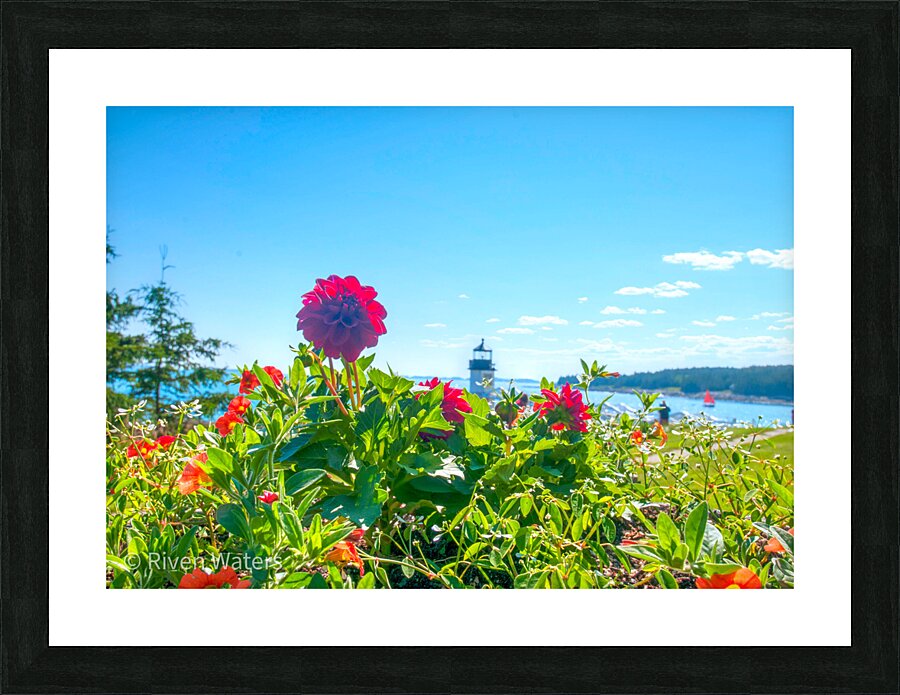 Flowers039 Picture Frame print
