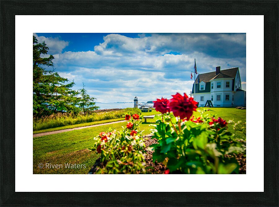Flowers005 Picture Frame print