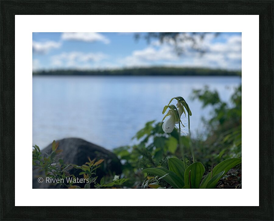Flowers037 Picture Frame print