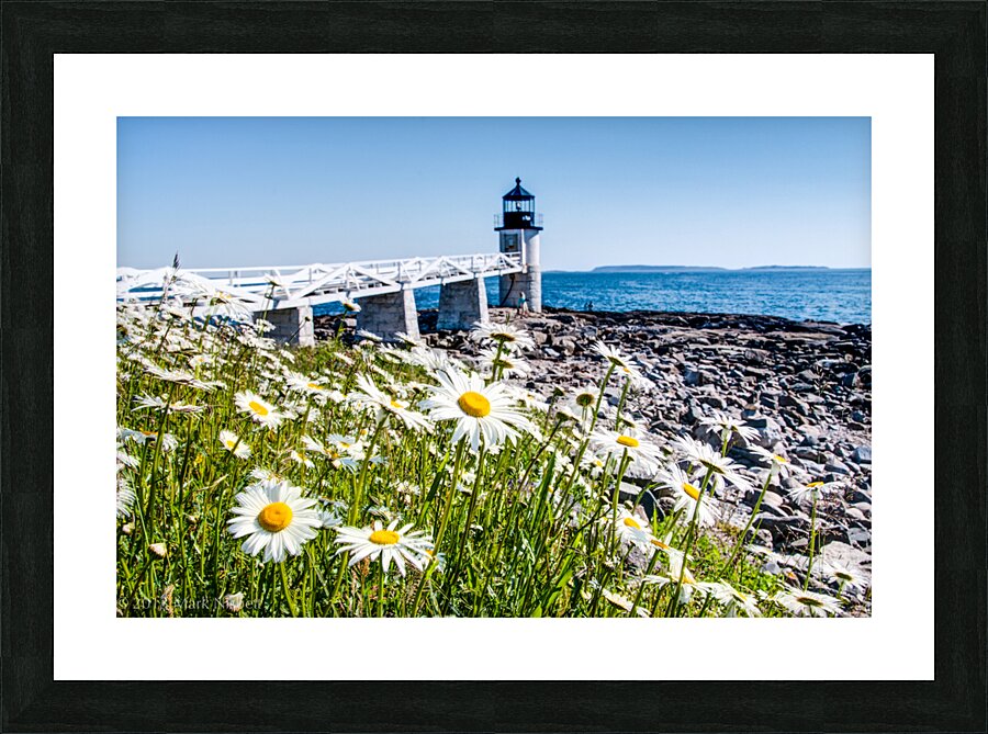 Coastal 054 Picture Frame print