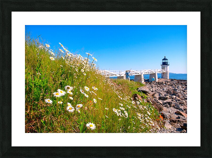 Coastal 052 Picture Frame print