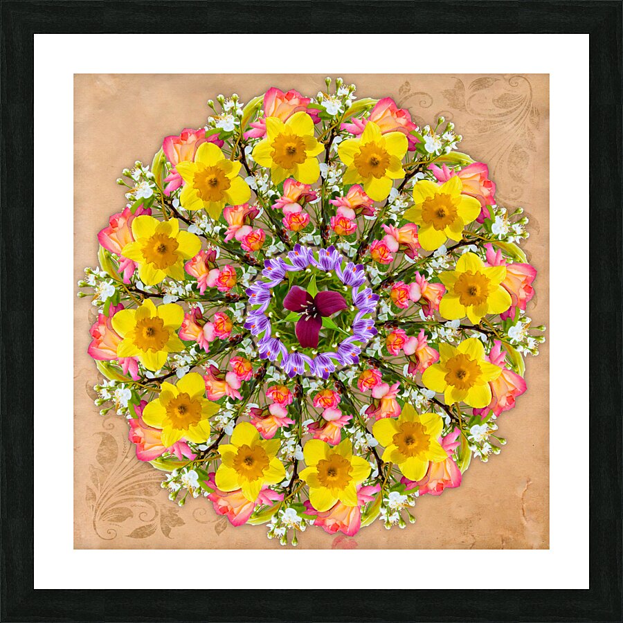 Mandala 001 Picture Frame print