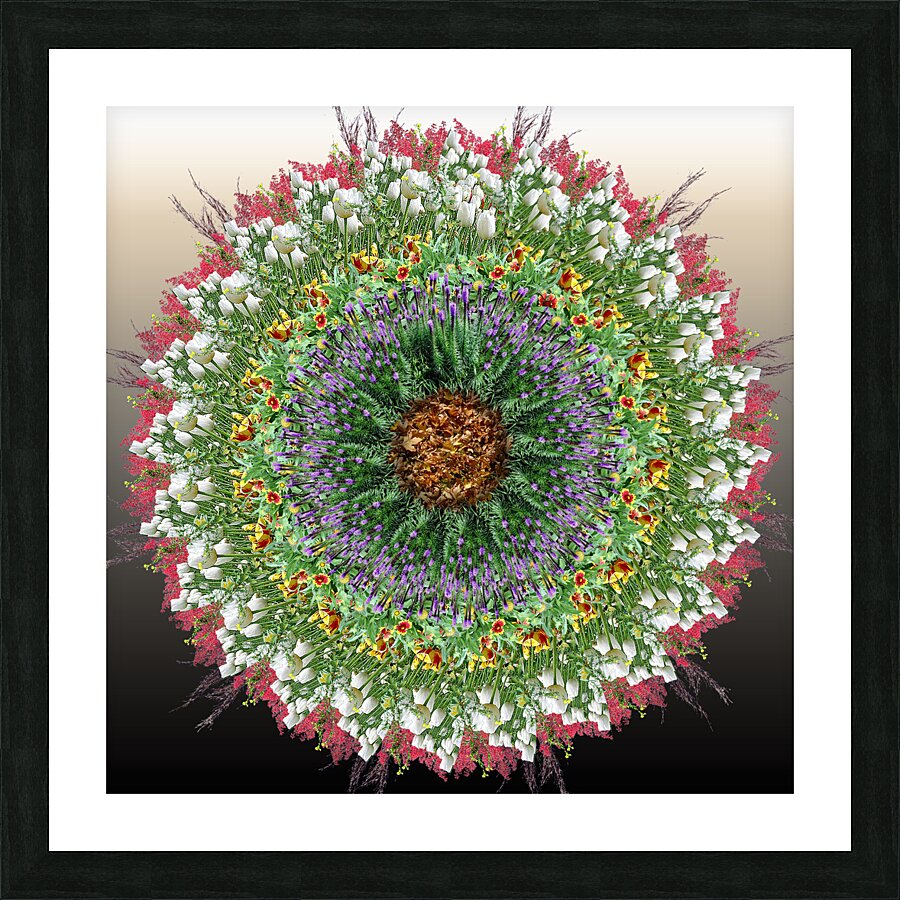 Mandala 006 Picture Frame print