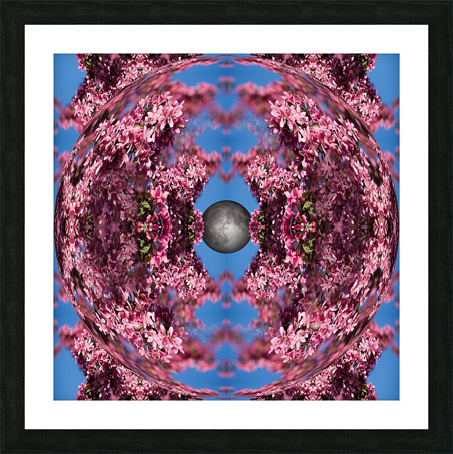 Mandala 005 Picture Frame print