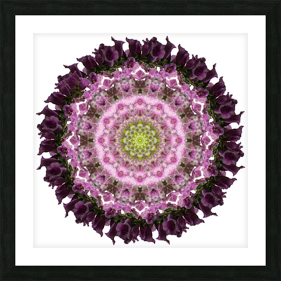 Mandala 019 Picture Frame print