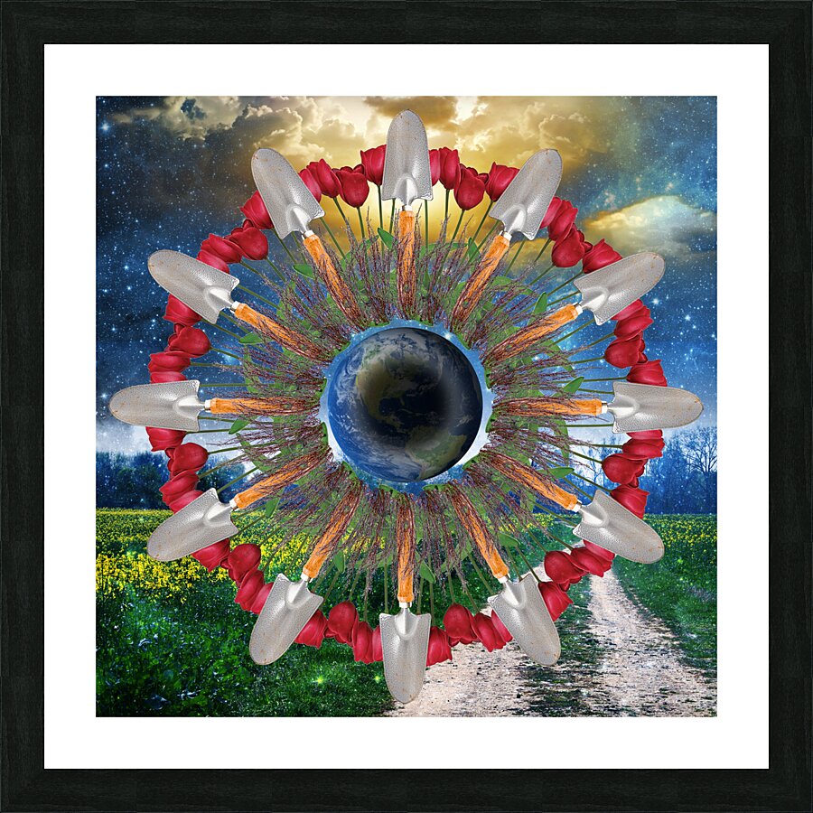 Mandala 009 Picture Frame print