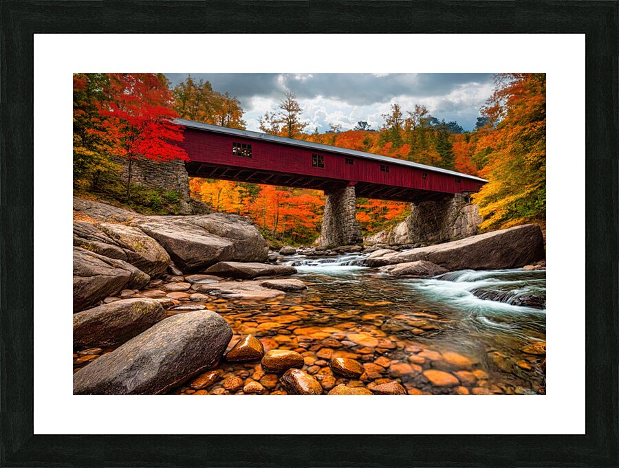 Fall No18 Picture Frame print