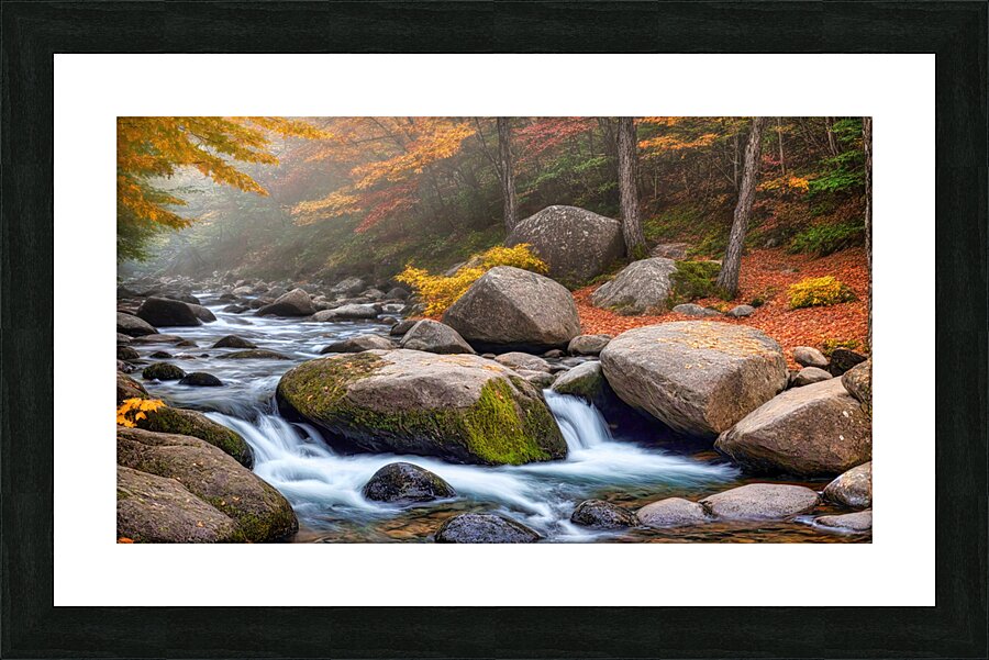 Fall No12 Picture Frame print
