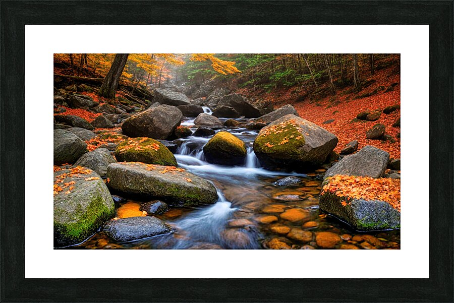 Fall No11 Picture Frame print