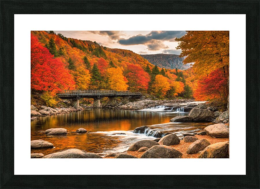 Fall No17 Picture Frame print