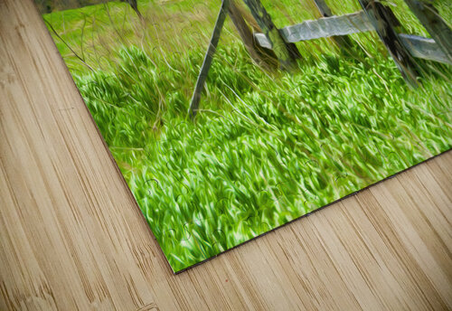 fence paint Riven Waters puzzle