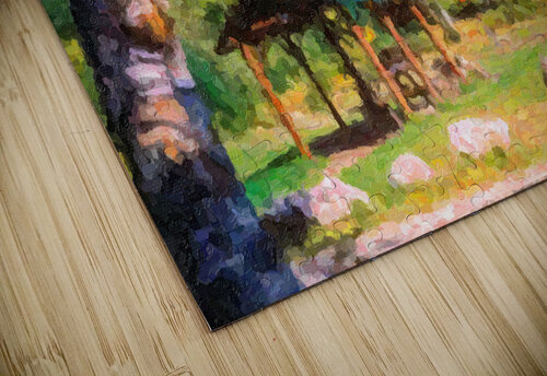 Katahdin Stream Rest Area Riven Waters puzzle