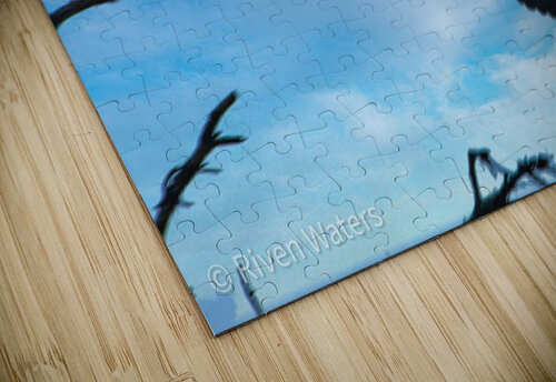 Coastal 19 Riven Waters puzzle
