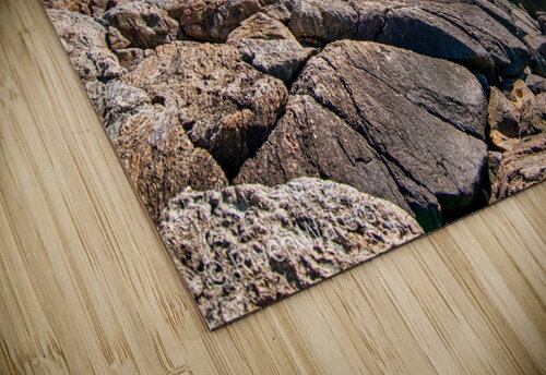 Coast 08 Riven Waters puzzle