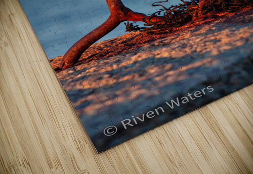 Coast 09 Riven Waters puzzle