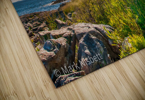 Coast 02 Riven Waters puzzle