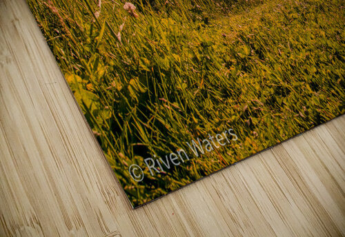 Coast 05 Riven Waters puzzle