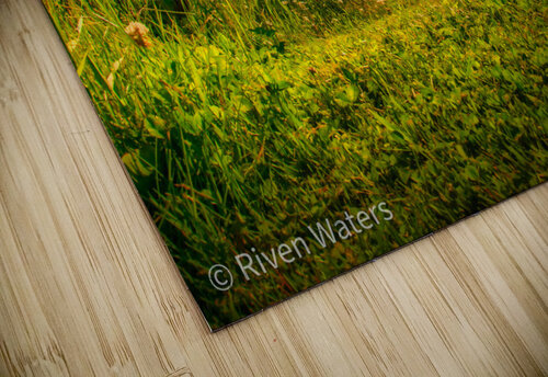 Coast 03 Riven Waters puzzle