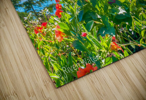 Flowers039 Riven Waters puzzle
