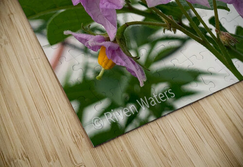 Flowers032 Riven Waters puzzle