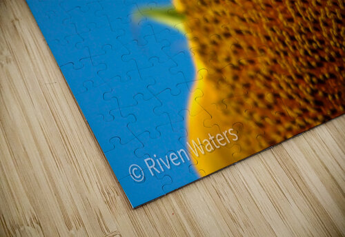 Flowers010 Riven Waters puzzle