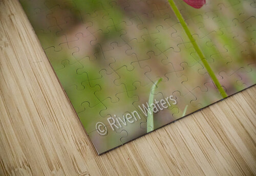 Flowers012 Riven Waters puzzle